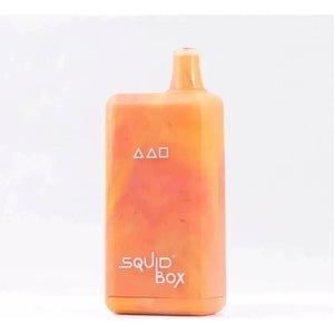 SQUID BOX DISPOSABLES | 4500 PUFFS - E-Juice Steals