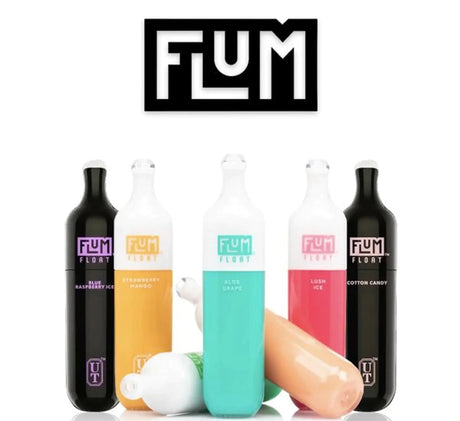 FLUM FLOAT DISPOSABLE - 3000 PUFFS flum pebble flavors  E-Juice Steals