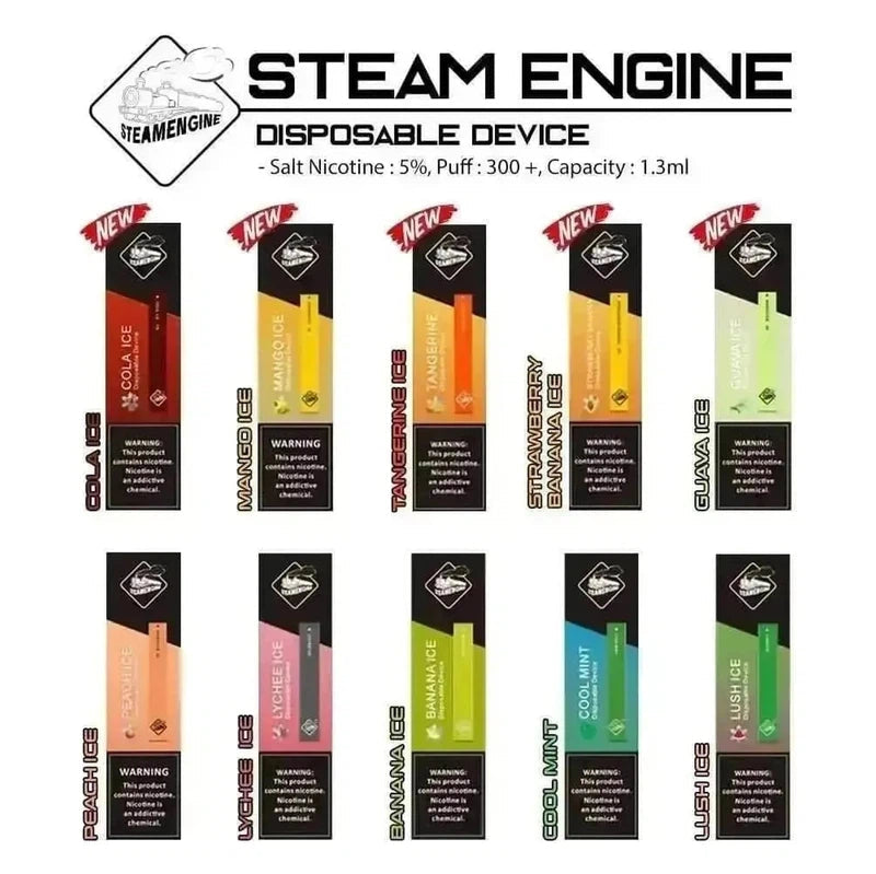 THE STICK DISPOSABLE | 600 PUFFS - E-Juice Steals