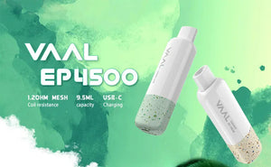 VAAL EP4500 DISPOSABLE | 4500 PUFFS - E-Juice Steals